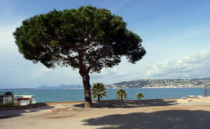 Juan les pins